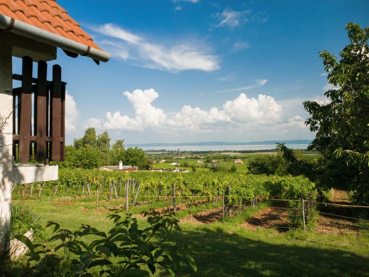 Apartment Birtok Panorama